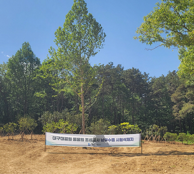 大邱城市开发公社在大邱大公园动物园试验种植南部树种