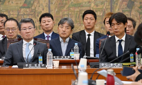 '고대 카르텔'부터 '<b>빵집 면접</b>'까지…축구협회 청문회서 쏟아진 <b>질타</b>